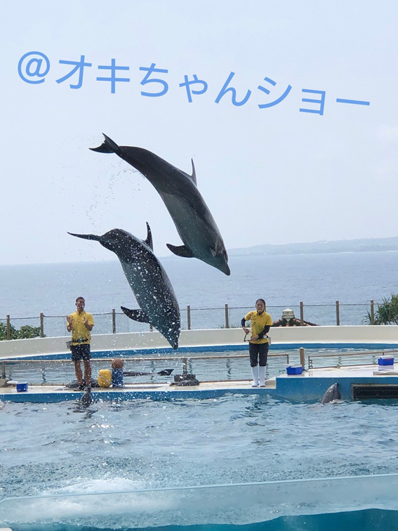 沖縄は夏だけではない 海洋博公園 美ら海水族館 北部観光の鉄板です 探さずに見つかるリゾートバイト リゾバ求人 ならリゾートチャンネル